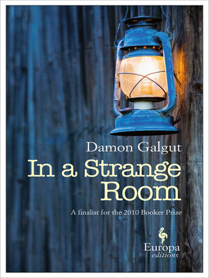 In a Strange Room - ebook